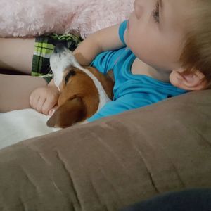 Meet your Posher, Karen